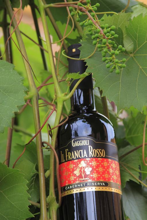 Agriturismo Gaggioli Borgo Delle Vigne Zola Predosa Luaran gambar