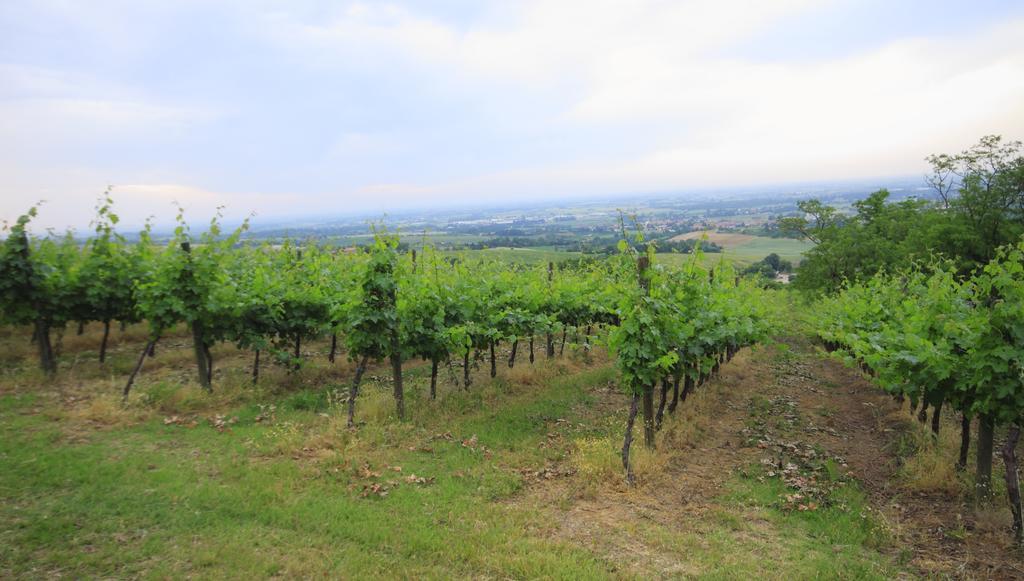 Agriturismo Gaggioli Borgo Delle Vigne Zola Predosa Luaran gambar