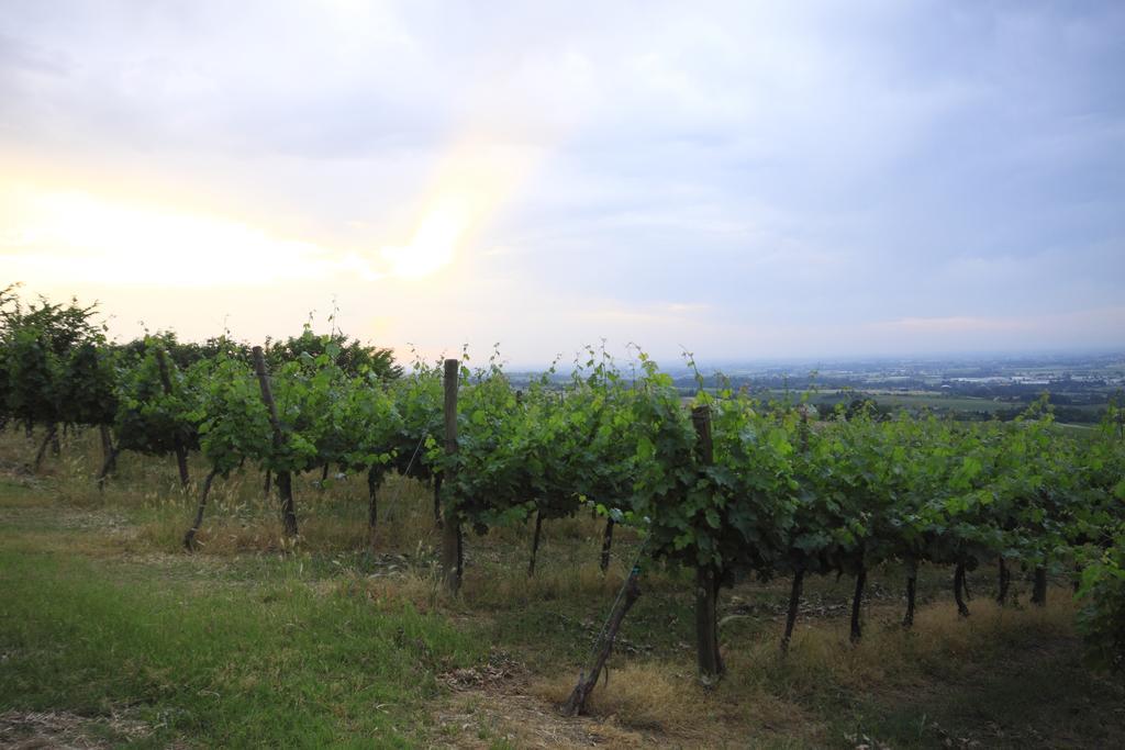 Agriturismo Gaggioli Borgo Delle Vigne Zola Predosa Luaran gambar