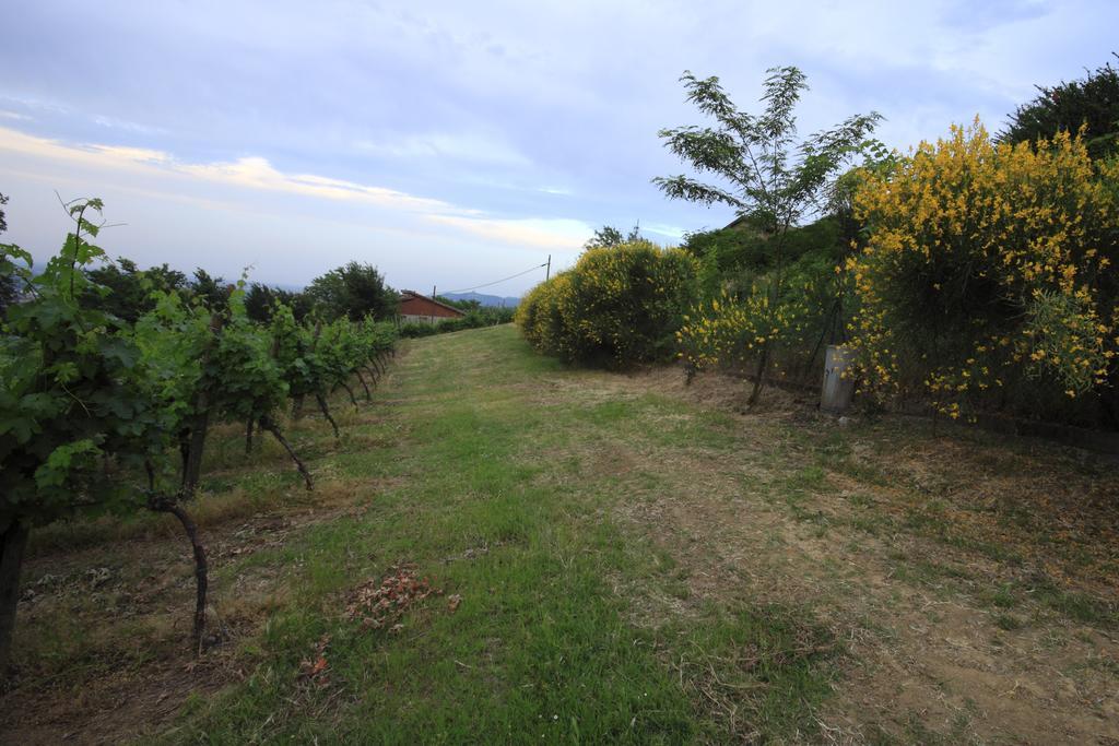 Agriturismo Gaggioli Borgo Delle Vigne Zola Predosa Luaran gambar