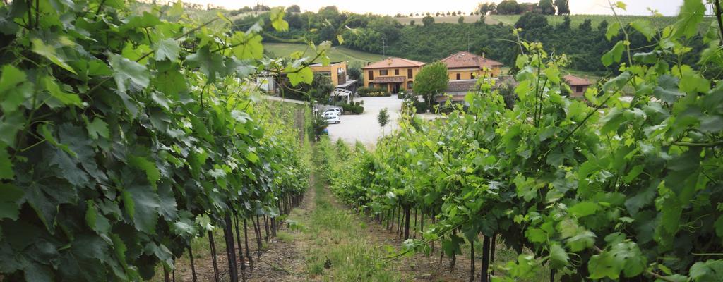 Agriturismo Gaggioli Borgo Delle Vigne Zola Predosa Luaran gambar