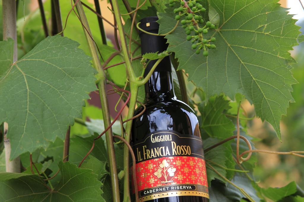Agriturismo Gaggioli Borgo Delle Vigne Zola Predosa Luaran gambar