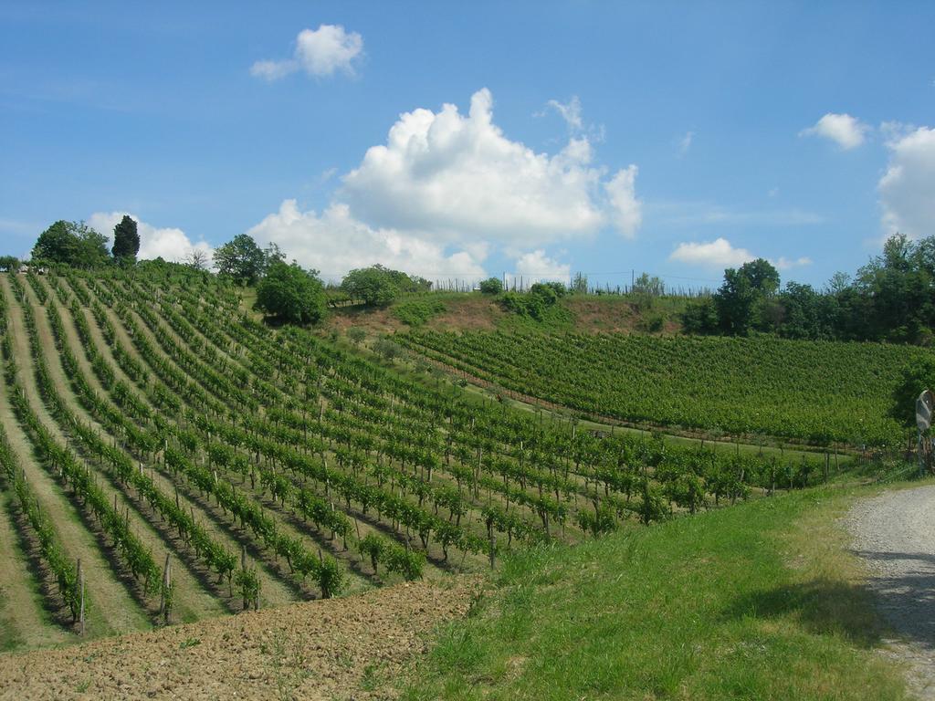 Agriturismo Gaggioli Borgo Delle Vigne Zola Predosa Luaran gambar