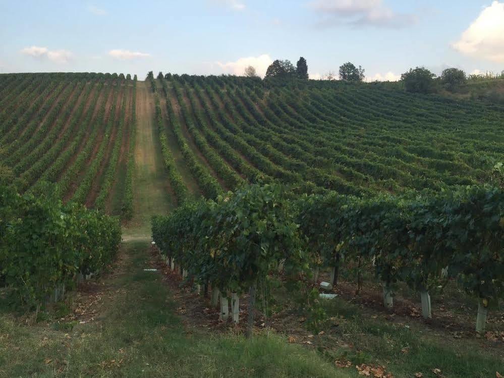 Agriturismo Gaggioli Borgo Delle Vigne Zola Predosa Luaran gambar